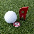 Arizona Cardinals Custom Shaped Golf Divot Tool