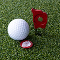 Detroit Red Wings Custom Shaped Golf Divot Tool