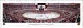 Chicago Blackhawks Panorama