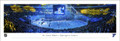 St. Louis Blues Banner Raising Panorama