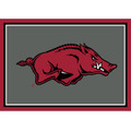 Arkansas Razorbacks 3' x 4' Entry Rug