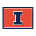 Illinois Fighting Illini 3' x 4' Entry Rug