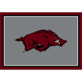 Arkansas Razorbacks Spirit Area Rug