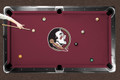 Florida State Seminoles Logo Pool Table Cloth