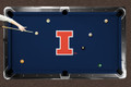 Illinois Fighting Illini Logo Pool Table Felt