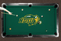 North Dakota State Bison Logo Pool Table Cloth