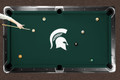 Michigan State Spartans Logo Pool Table Felt