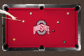 Ohio State Buckeyes Logo Pool Table Cloth