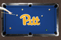 Pittsburgh Panthers Logo Pool Table Cloth