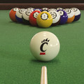 Cincinnati Bearcats Billiard Cue Ball