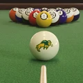 North Dakota State Bison Billiard Cue Ball