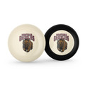 Montana Grizzlies Billiard Cue Ball & 8 Ball Combo
