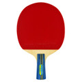 Butterfly Bty-CS 1000 Ping Pong Paddle