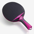 Butterfly Outdoor All Weather Ping Pong Paddle