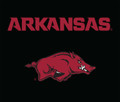 Arkansas Razorbacks 51" x 60" Wall Tapestry