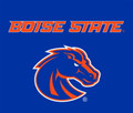 Boise State Broncos 51" x 60" Wall Tapestry