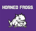 Texas Christian Horned Frogs 51" x 60" Wall Tapestry