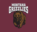 Montana Grizzlies 51" x 60" Wall Tapestry
