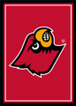 Louisville Cardinals 3' x 4' Entry Rug