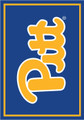 Pittsburgh Panthers 3' x 4' Entry Rug