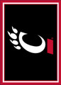 Cincinnati Bearcats Spirit Area Rug