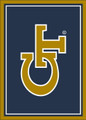 Georgia Tech Yellow Jackets Spirit Area Rug