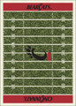 Cincinnati Bearcats Homefield Area Rug