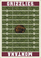 Montana Grizzlies Homefield Area Rug