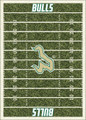 South Florida Bulls Homefield Area Rug