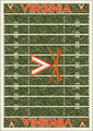 Virginia Cavaliers Homefield Area Rug