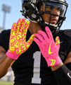 Nike Shark 2.0 Adult Football Gloves