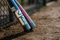 Easton The Dub Darkside USSSA Baseball Bat (-10)
