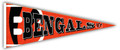 Cincinnati Bengals 24" Wood Pennant
