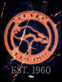 Denver Broncos Neon Circle Logo 12" x 16" Framed Wall Art