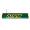 North Dakota State Bison Pool Table Light