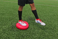 Kwik Goal Wobble Pillow