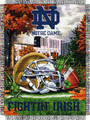 Notre Dame Fighting Irish NCAA Woven Tapestry Throw / Blanket