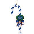 Florida Gators 2 Pack Candy Cane Ornament Set