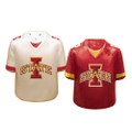 Iowa State Cyclones Gameday Salt & Pepper Shakers