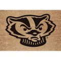 Wisconsin Badgers Flocked Door Mat