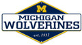 Michigan Wolverines Diamond Panel Metal Sign