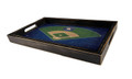 Houston Astros Team Field Tray