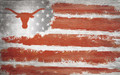 Texas Longhorns 11" x 19" Flag Wall Art