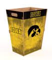 Iowa Hawkeyes Team Color Trash Bin