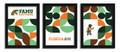 Florida A&M Rattlers Minimalist Color Pop 3-Piece Framed Print