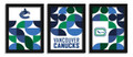 Vancouver Canucks Minimalist Color Pop 3-Piece Framed Print