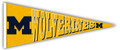 Michigan Wolverines 24" Wood Pennant