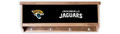 Jacksonville Jaguars Storage Case with Coat Hangers