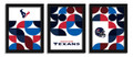 Houston Texans Minimalist Color Pop 3-Piece Framed Print