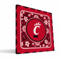 Cincinnati Bearcats Eclectic Canvas Print